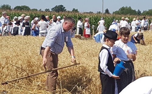 XX. Arató- és Kárpát-medencei Nemzetiségi Nap