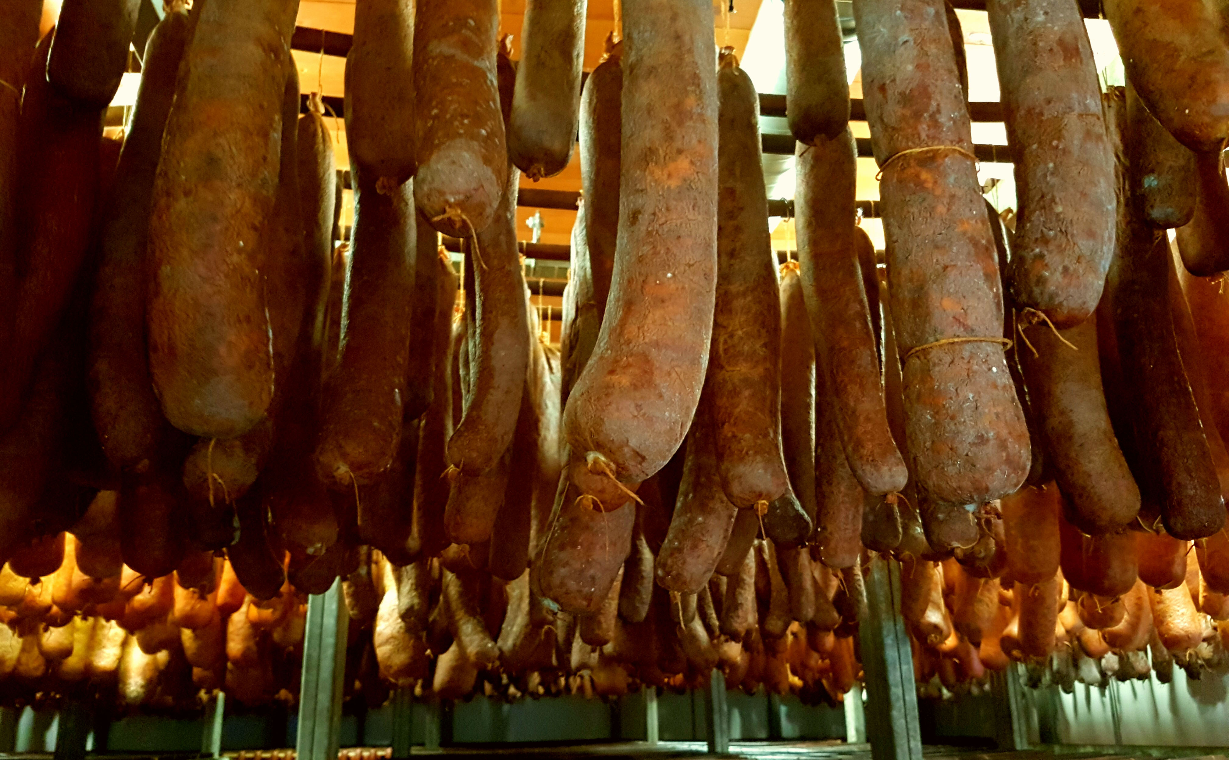 A h&aacute;zi kolb&aacute;szok is nagyon n&eacute;pszerűek