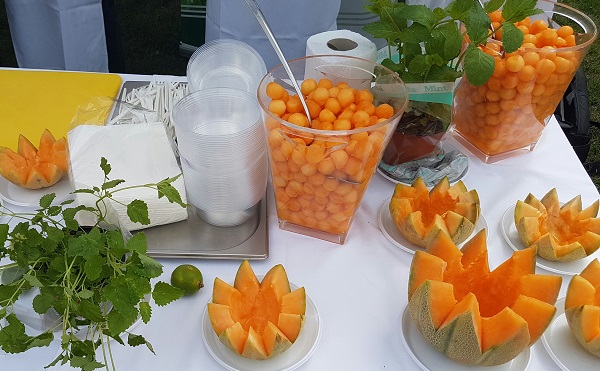Gyümölcsöket népszerűsítettek Gyulán