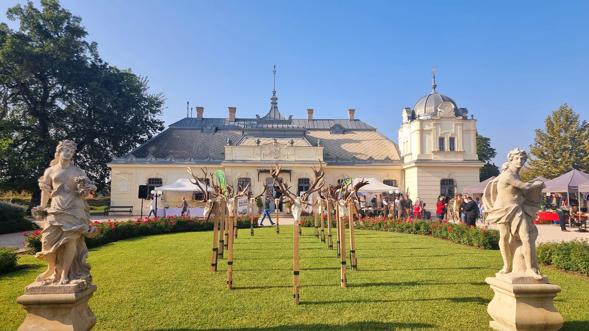 391564329_2683272055144370_1455570074063418722_n