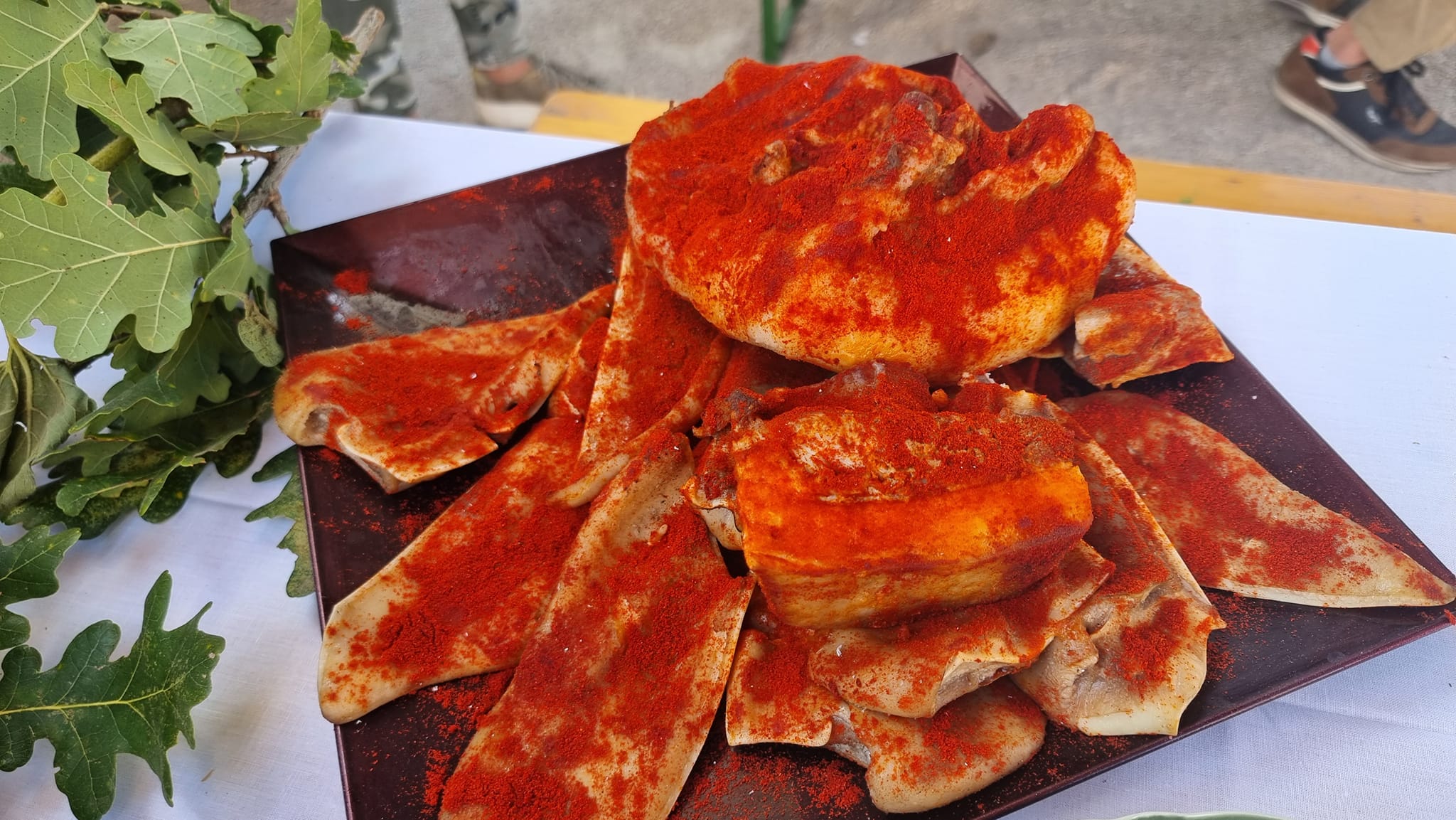 392887810_2683272875144288_3235376919566723477_n