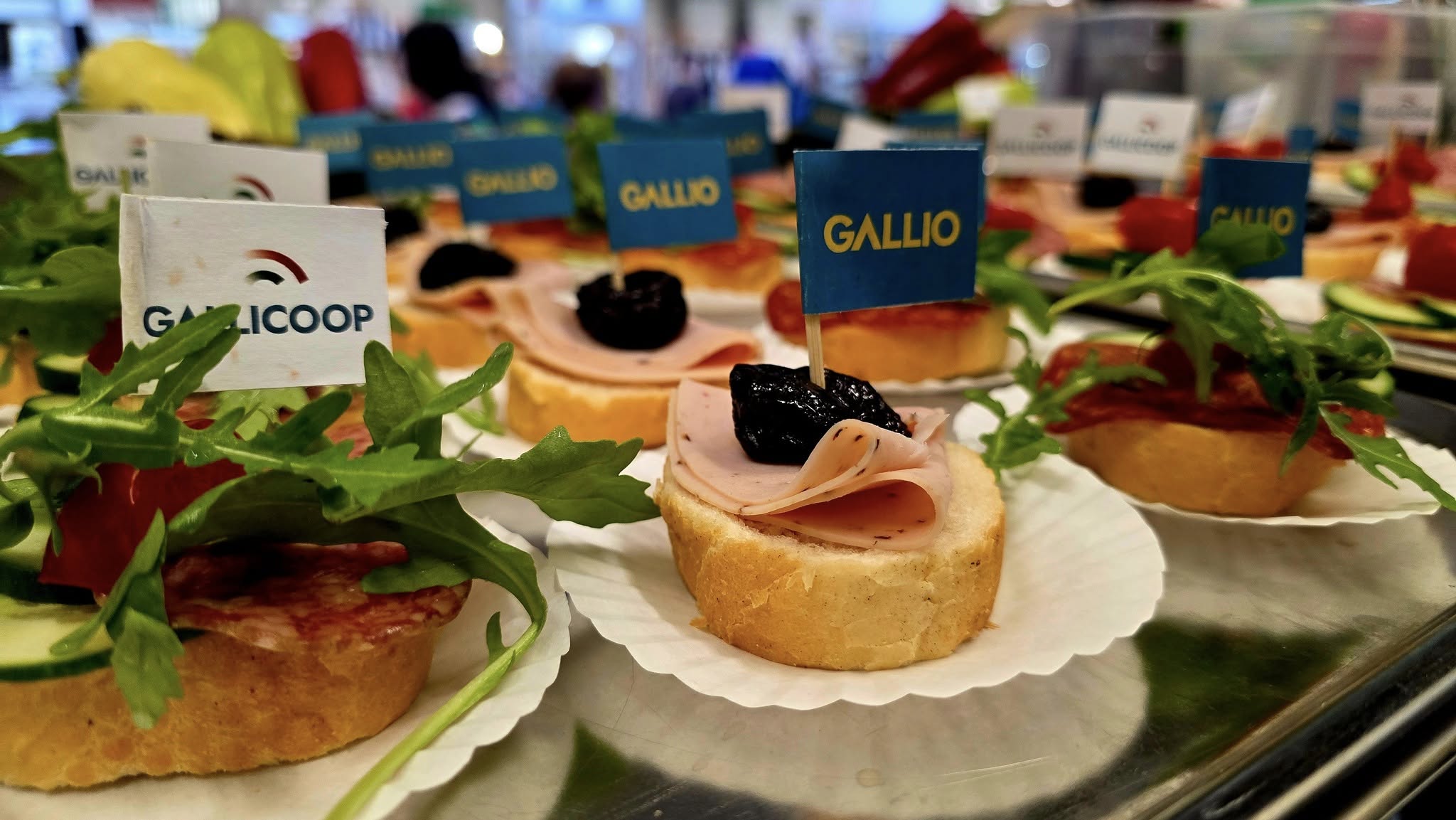 550122192_3352873864850849_1776598686149952489_n