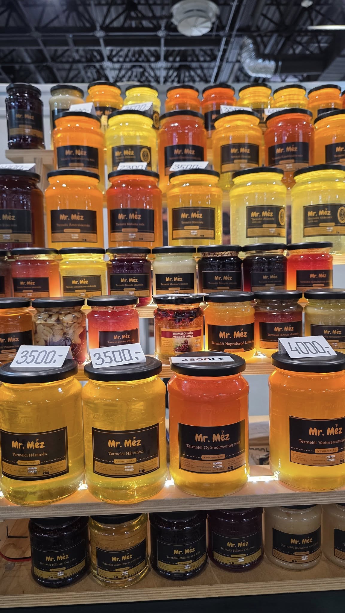 550569277_3352875241517378_9220183898049517398_n