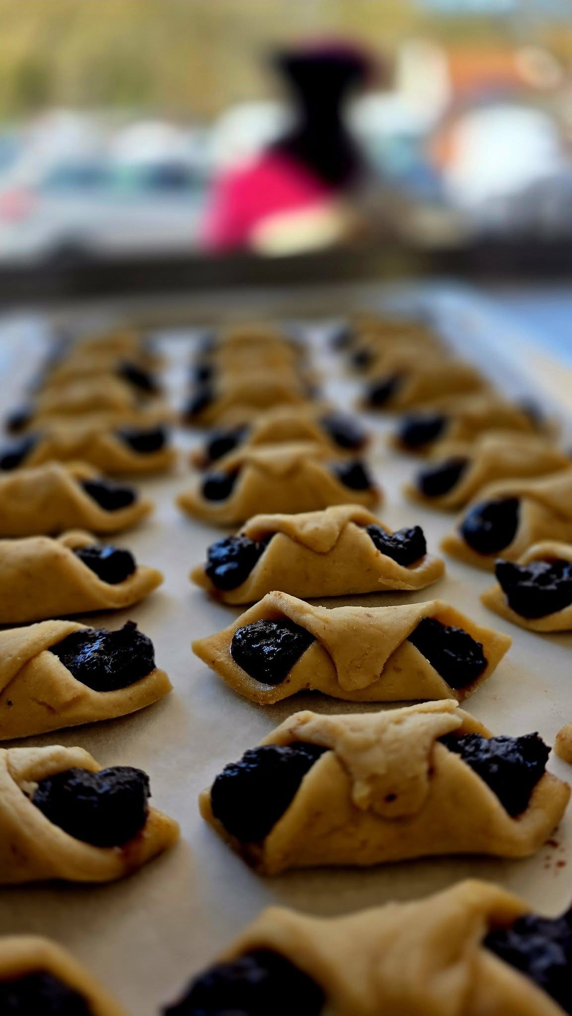 662101641_3572979862840247_8476907390834195572_n