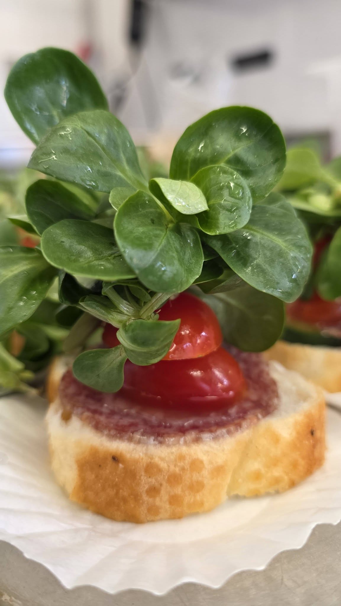 643589088_3534546646683569_1200953906225604357_n