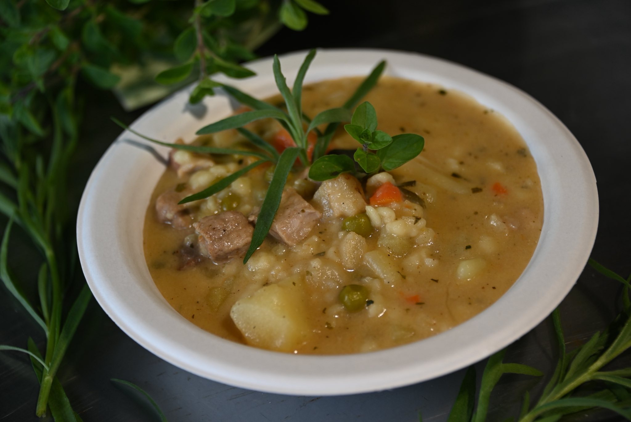 677912854_1003177018700600_4779998887472130665_n