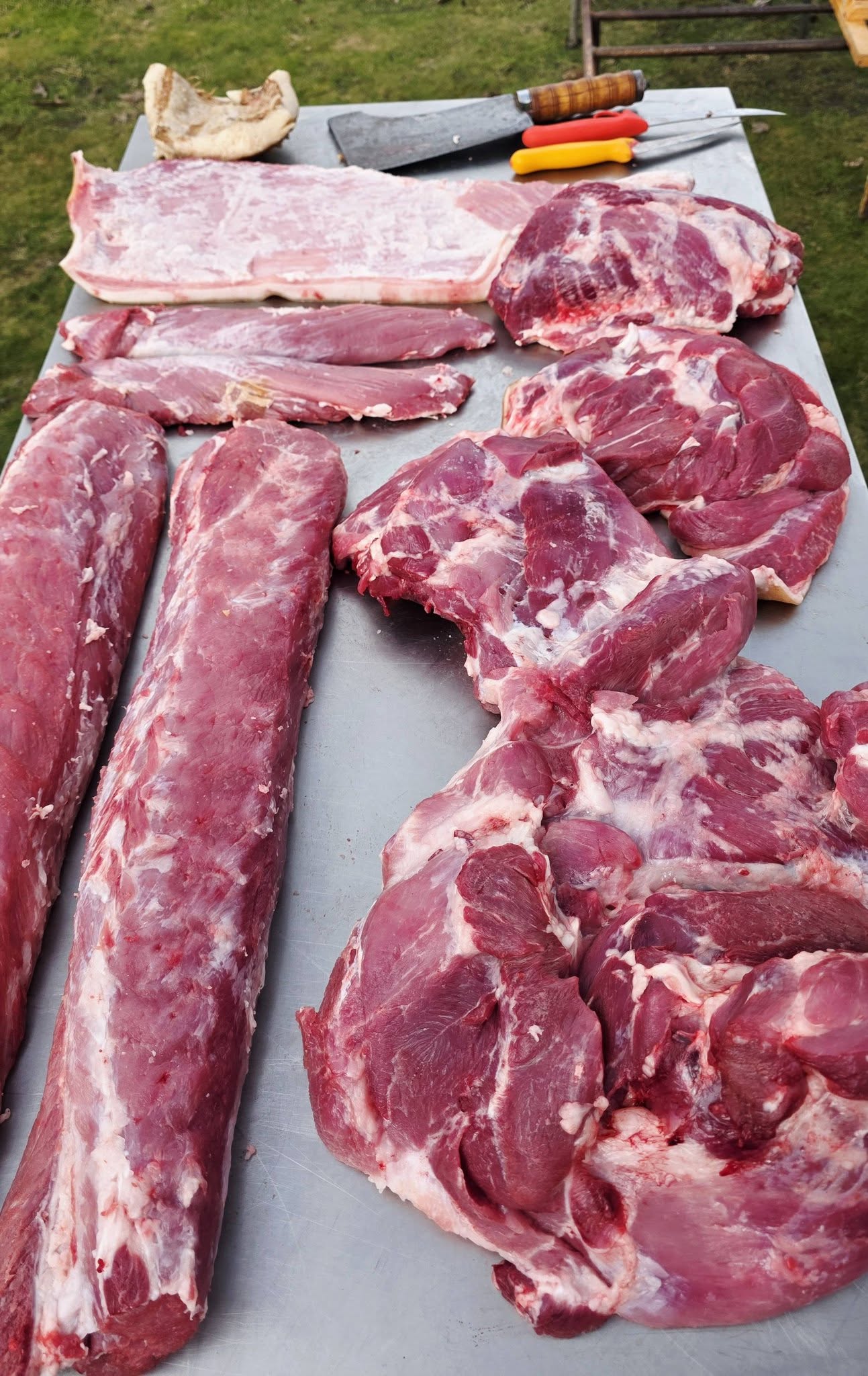 633799171_3518506331620934_7279682228282612172_n