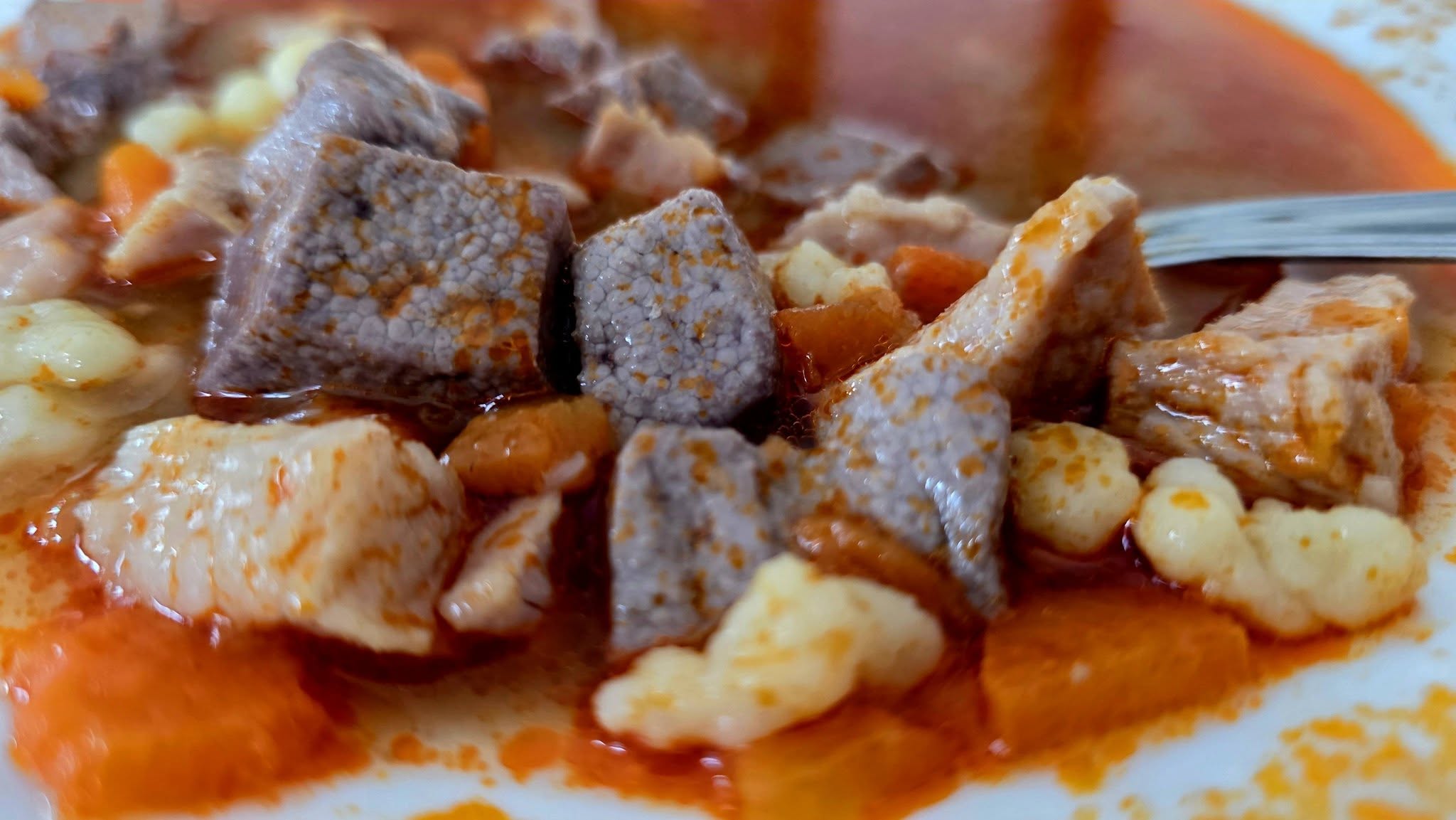 634781030_3518507098287524_4935424443234216245_n