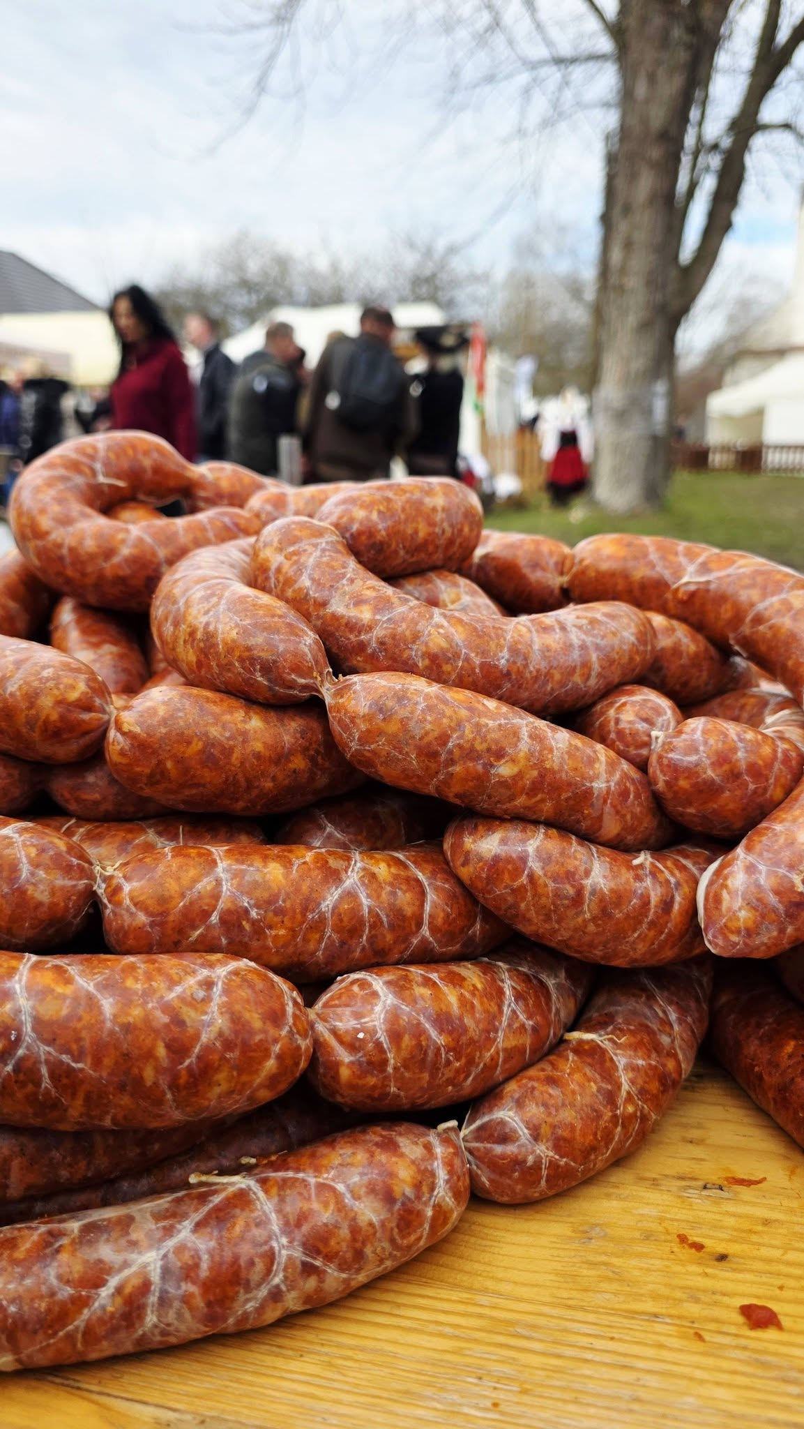 629283492_3518506648287569_4843955619081278571_n